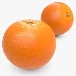 3D orange scaned scanned polys