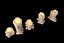 Kerzen Pack