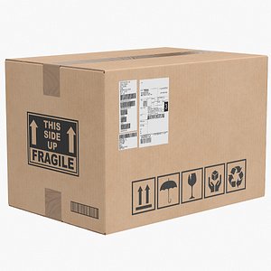 Cardboard Box 3 Closed