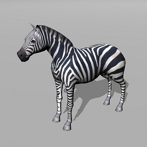 3d model zebra uv