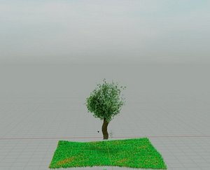 A tree