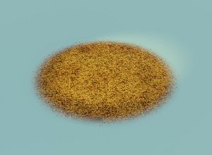 Cartoon Savanna Terrain Model