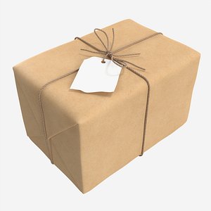 3D model Parcel wrapped in kraft paper