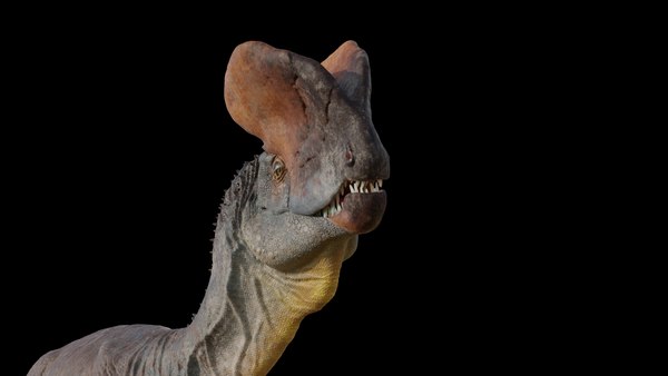 modelo 3d Dilophosaurus - TurboSquid 2072373