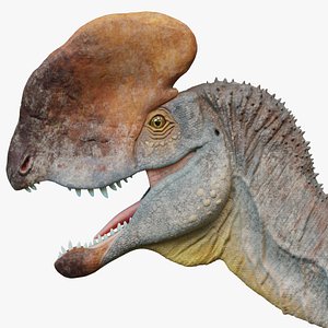 3D model Dilophosaurus
