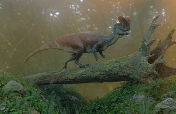 modelo 3d Dilophosaurus - TurboSquid 2072373