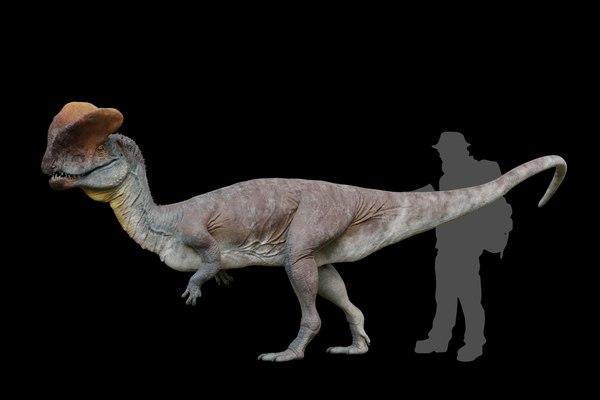 modelo 3d Dilophosaurus - TurboSquid 2072373