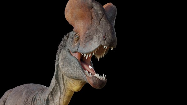 modelo 3d Dilophosaurus - TurboSquid 2072373