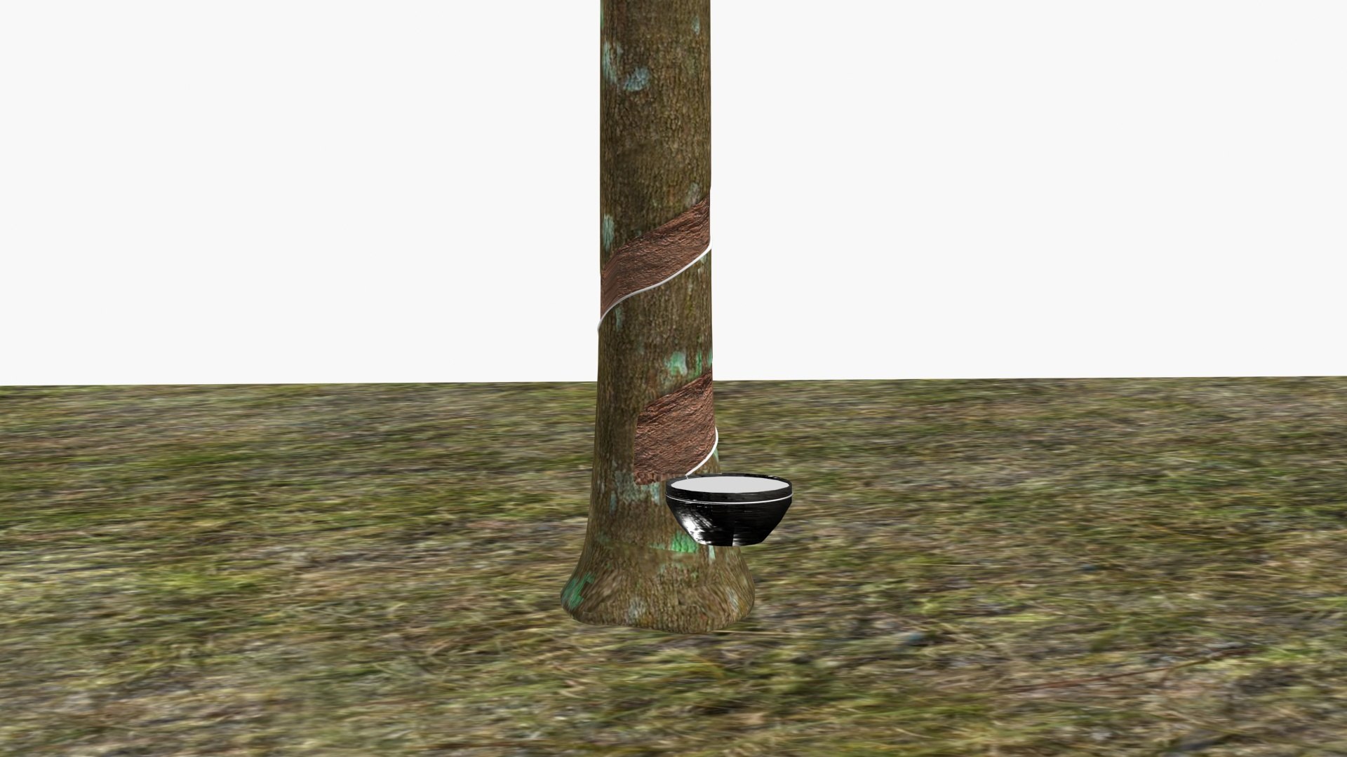 3D Model Rubber Tree - TurboSquid 2197211