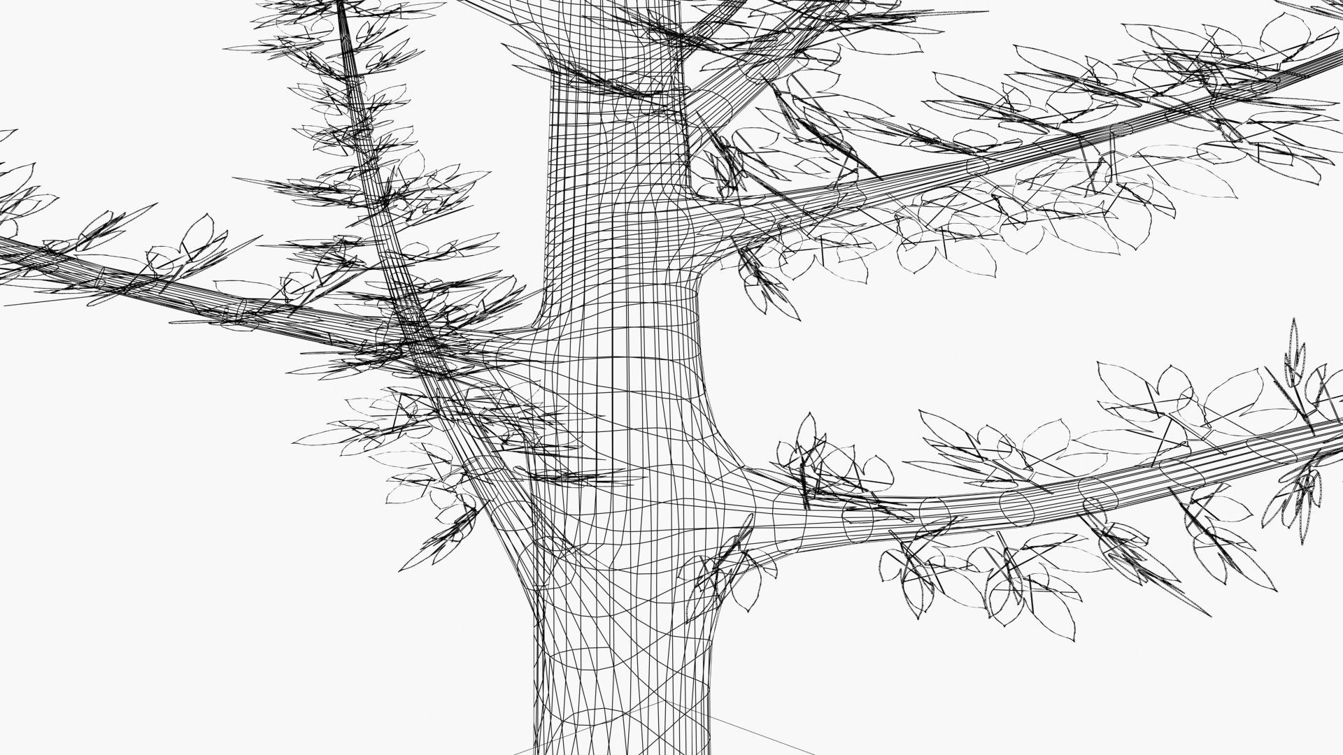 3D Model Rubber Tree - TurboSquid 2197211