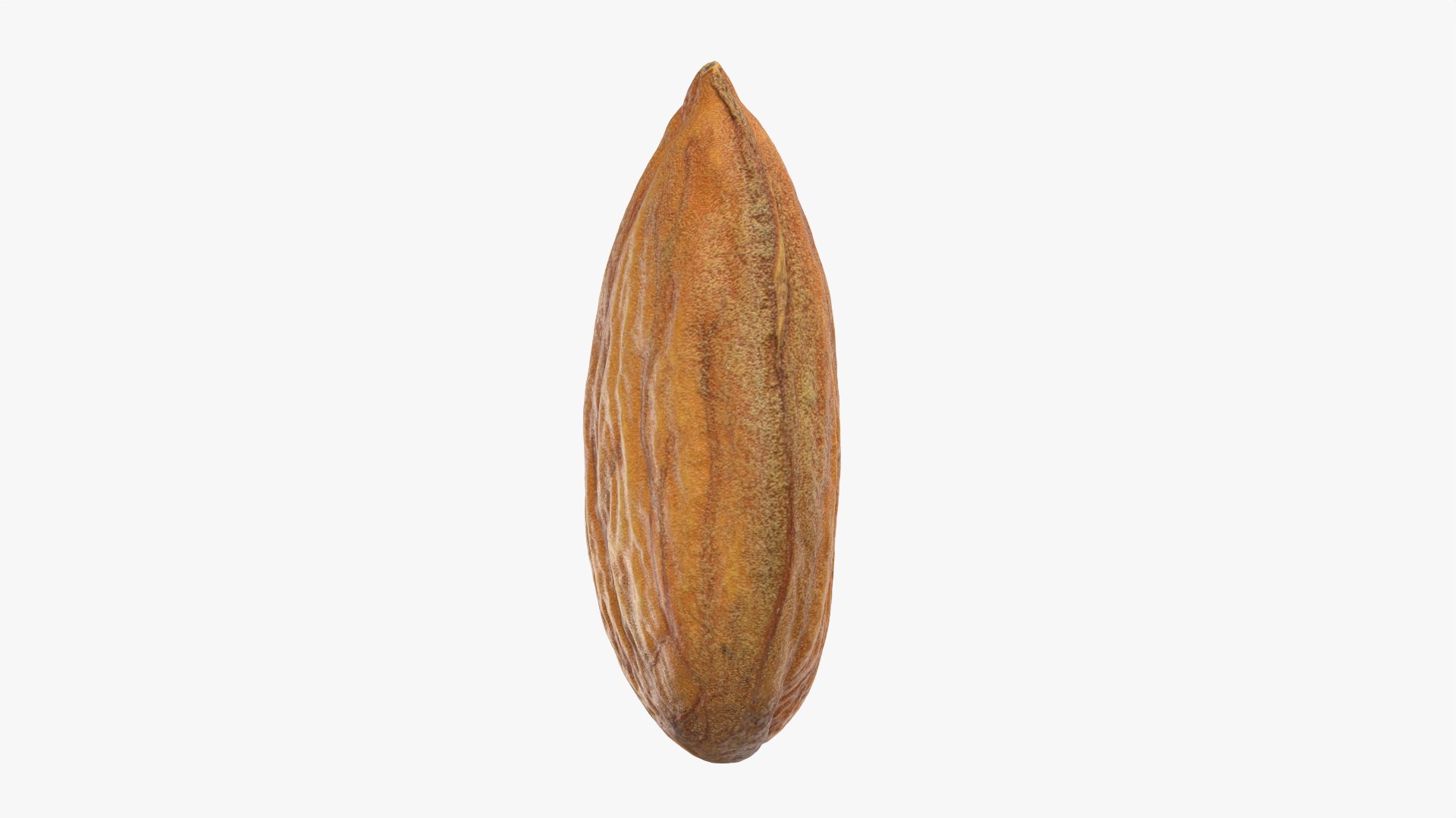 Almond Collection 3D model https://p.turbosquid.com/ts-thumb/jT/di0bPx/XU/almond03_0004/png/1761113512/1920x1080/fit_q87/0cc0c1dbbdb2a0d98d75337355338ae13ee6290e/almond03_0004.jpg