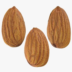 Almond Collection 3D model