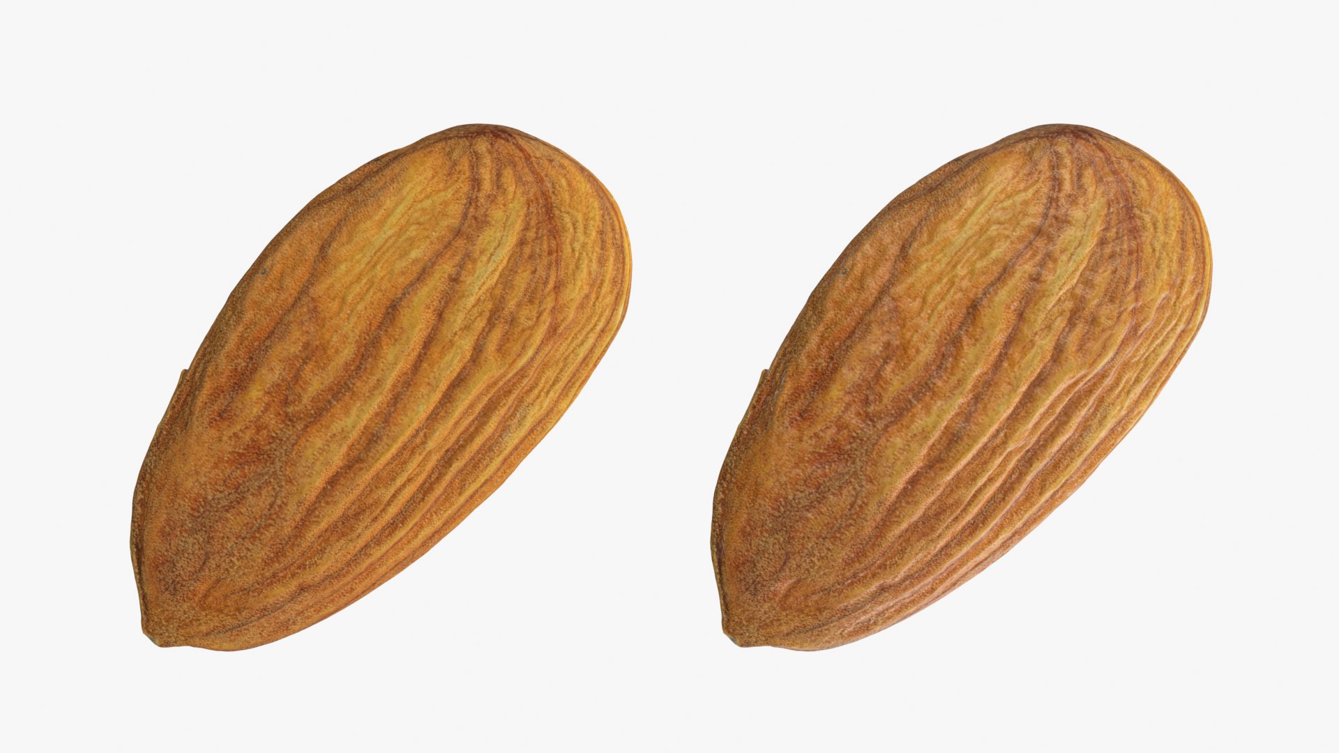 Almond Collection 3D model https://p.turbosquid.com/ts-thumb/jT/di0bPx/hX/almond02_0001b/png/1761113499/1920x1080/fit_q87/614ee38521af81836bd6147490e044234faa8da9/almond02_0001b.jpg