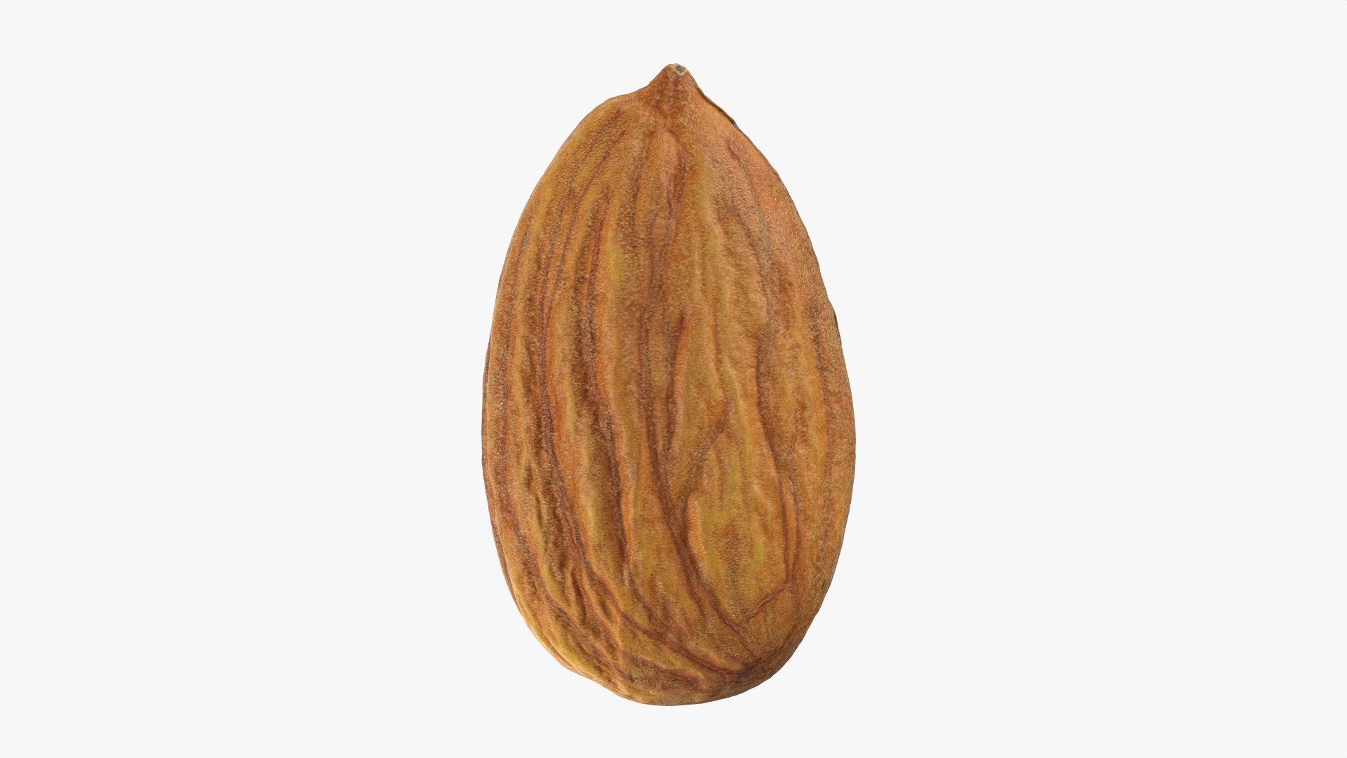 Almond Collection 3D model https://p.turbosquid.com/ts-thumb/jT/di0bPx/nH/almond03_0005/png/1761113512/1920x1080/fit_q87/f8219a08557482172473139d2e32d134704e4154/almond03_0005.jpg