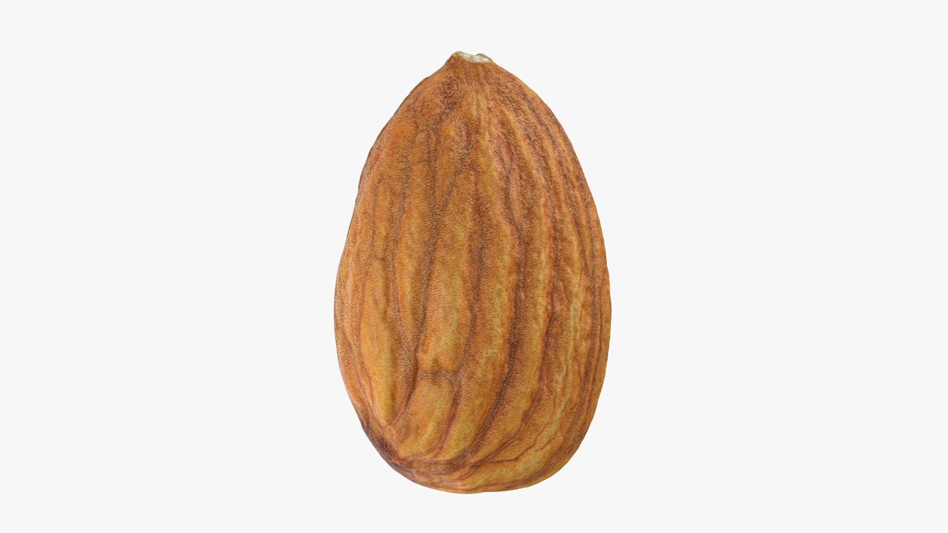 Almond Collection 3D model https://p.turbosquid.com/ts-thumb/jT/di0bPx/q3/almond01_0005/png/1761113489/1920x1080/fit_q87/7ab2133b0160ef3fcf1e6324085f285b595222fd/almond01_0005.jpg