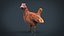 Chiken