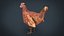 Chiken