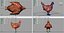 Chiken