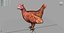 Chiken
