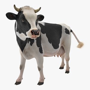 3D holstein cow fur