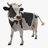 Holstein Cow with Fur 3D Model