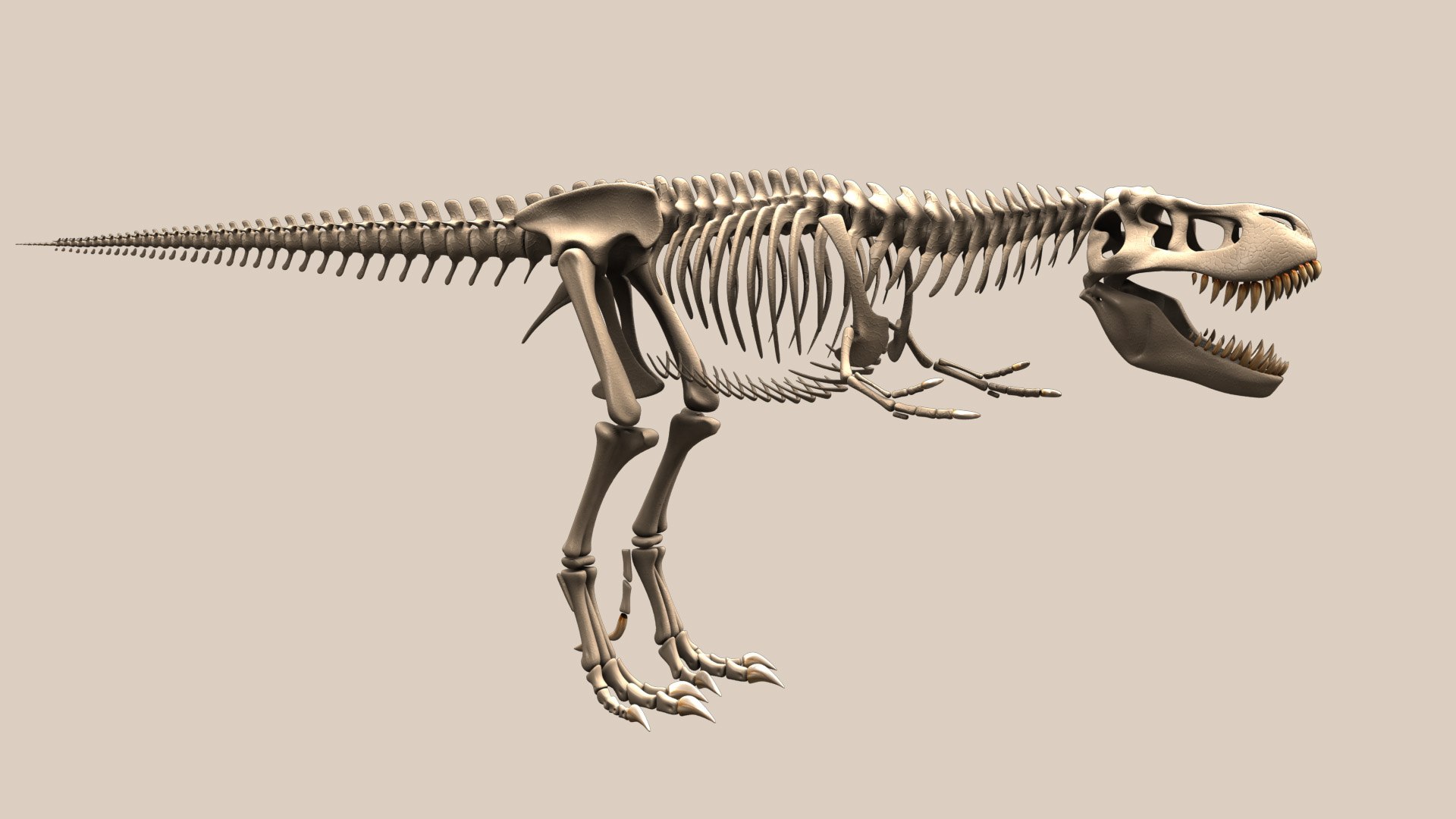3D t rex rigging neutral model - TurboSquid 1151470