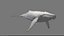 3D Humpback Whale Rigged