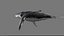 3D Humpback Whale Rigged