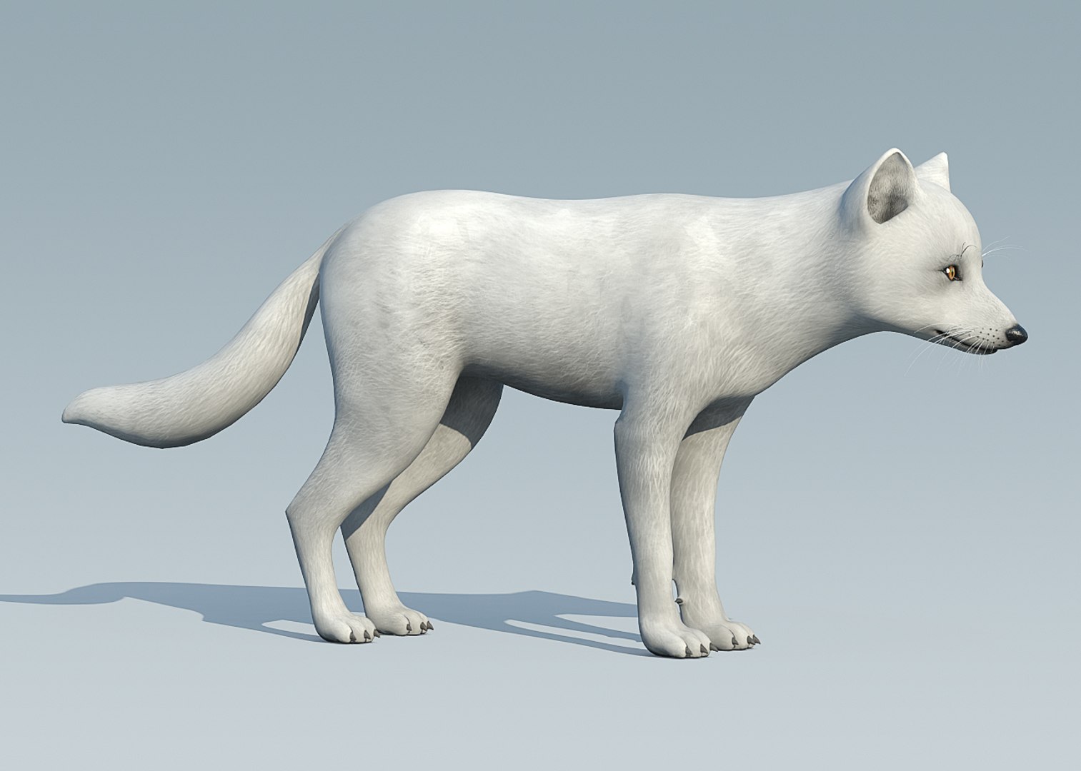 3d Arctic Fox Fur Model