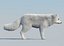 3d arctic fox fur model
