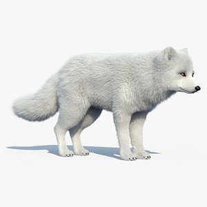 3d arctic fox fur model