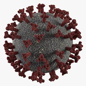 coronavirus covid 3D