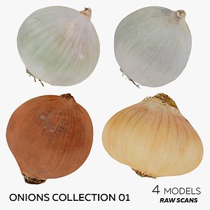 3D Onions and Garlics Collection 03 - 4 models RAW Scans