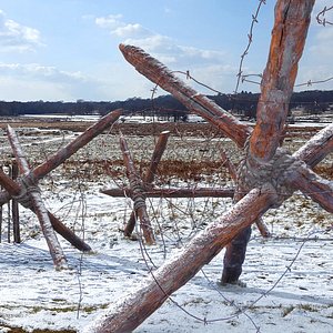 Barbed Wire Obstacle Realistic Model 7pcs