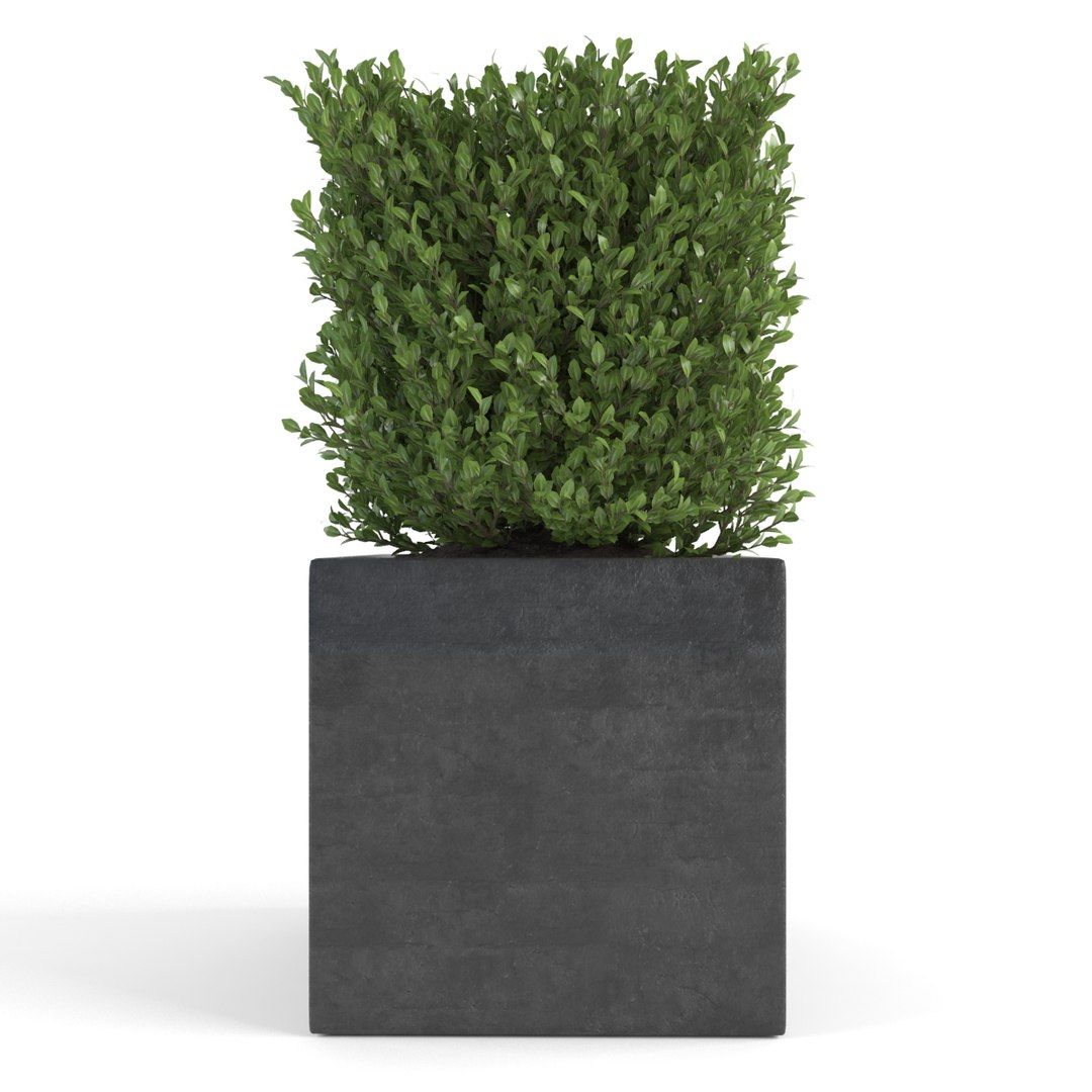 boxwood - set 2 3d max https://p.turbosquid.com/ts-thumb/jU/Nhh0fE/PQfdI6oZ/pic_03/jpg/1483884418/1920x1080/fit_q87/8e131d23ba09c72d603854fb6a855f5d9f77c73c/pic_03.jpg