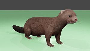mink 3D model