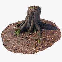 Realistic Forest Tree Stump 04