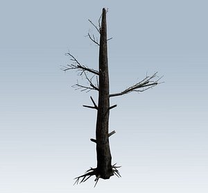 3D tree charred trunk