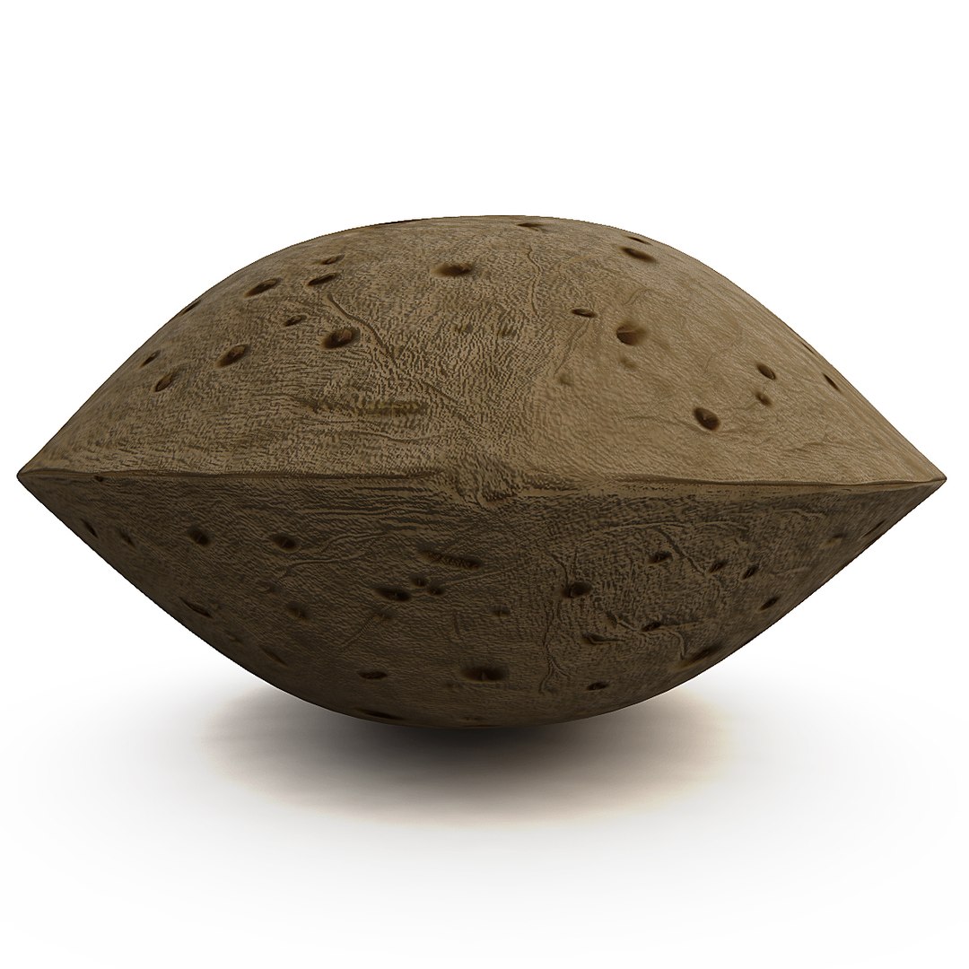 Almond Modelled 3d Model