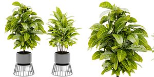 3D model Collection plant vol 393 - blender model