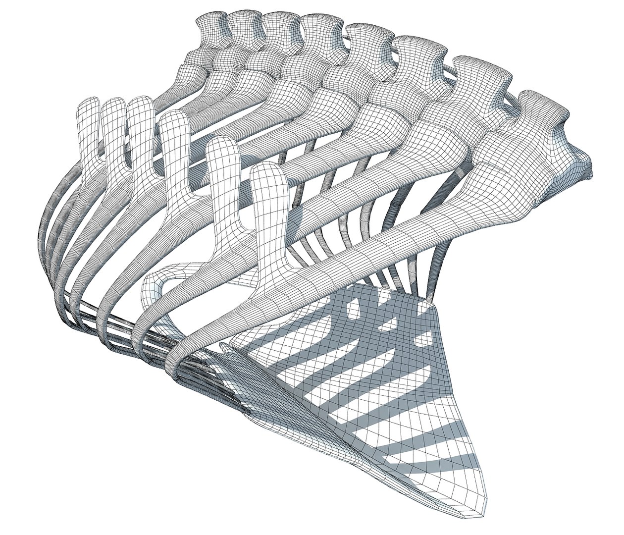 Bird Rib Cage 3D - TurboSquid 1178007