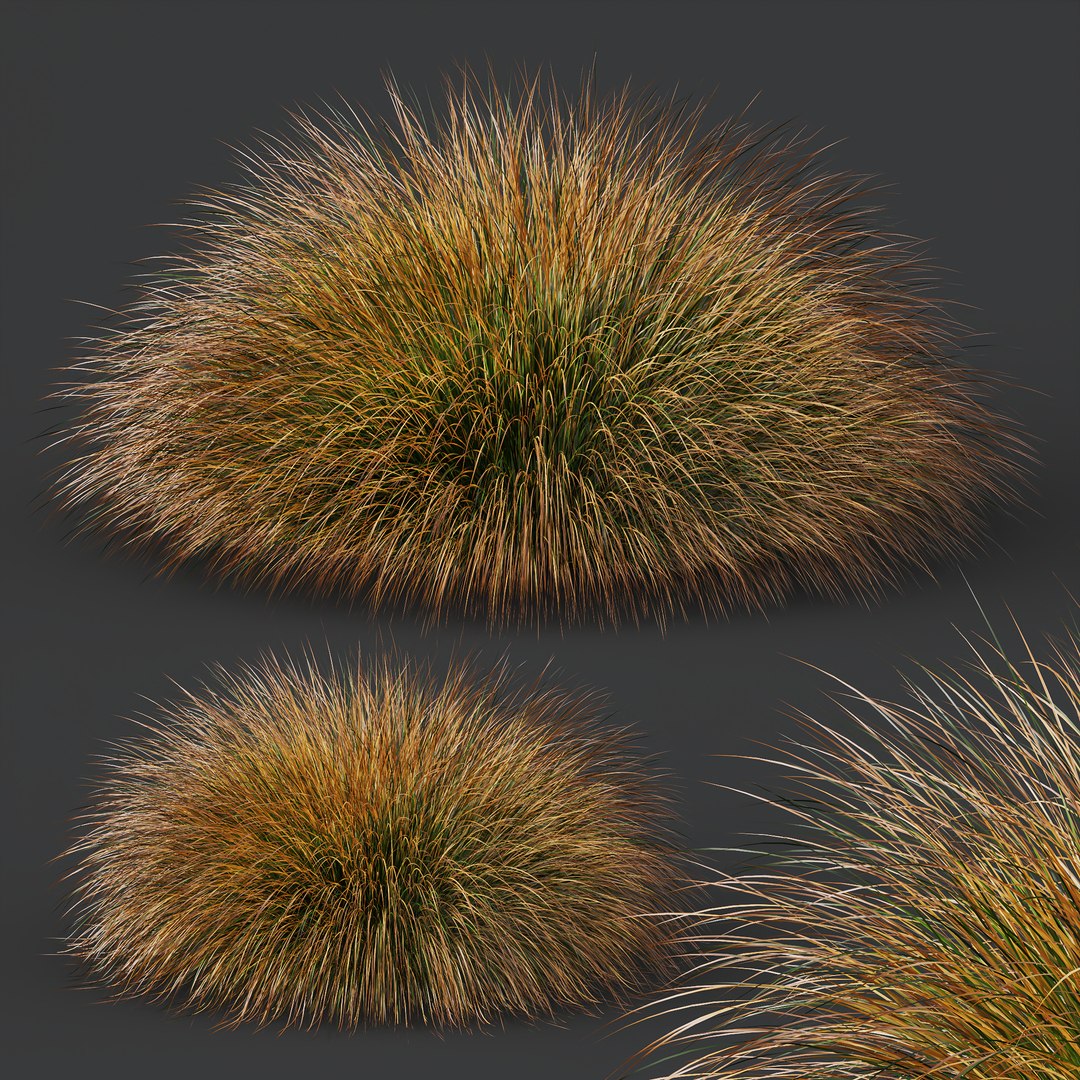 6 Different SETS Of Grass SET VOL03 3D - TurboSquid 2126336