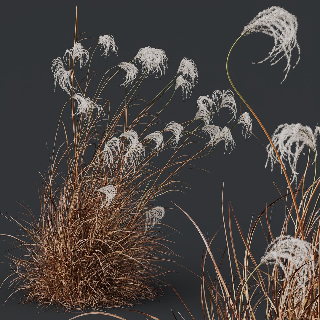 6 Different SETS Of Grass SET VOL03 3D - TurboSquid 2126336
