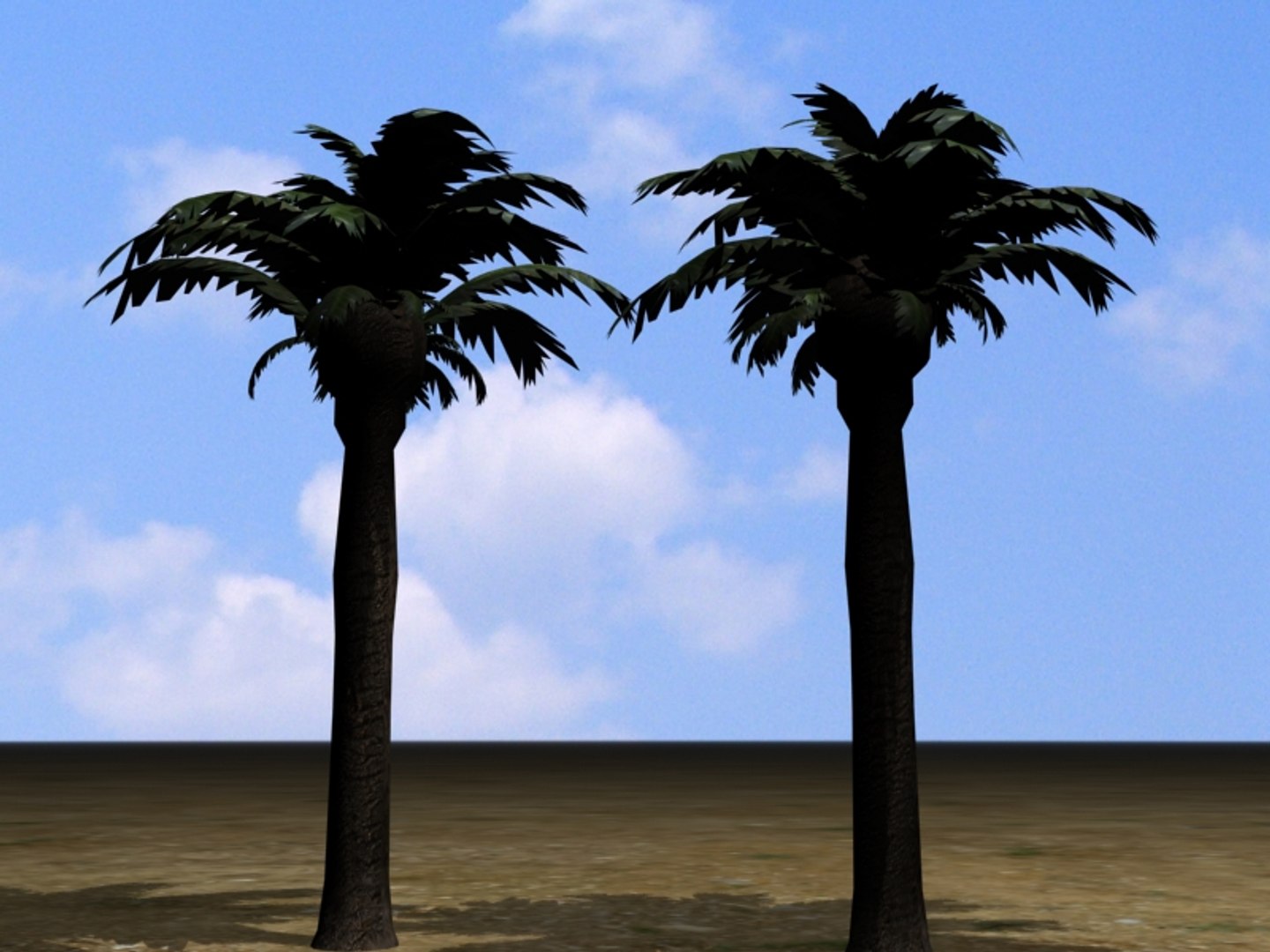 Palm Tree 3d Max