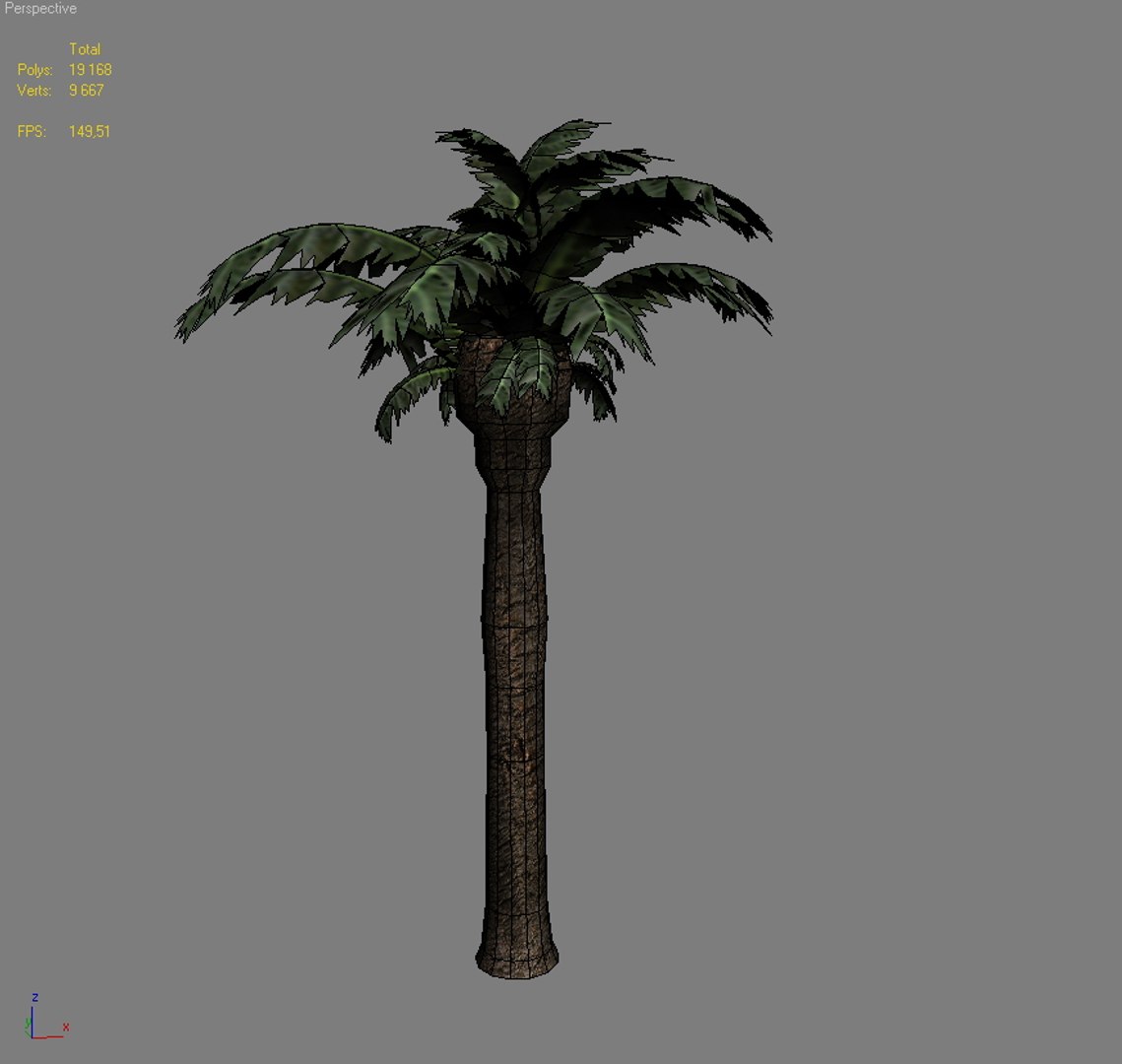 Palm Tree 3d Max