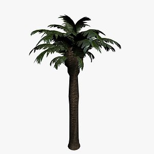 palm tree 3d max