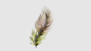 Feather Pink