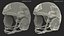 Tactical Gear Helmet Grey Camo Fur for Cinema 4D