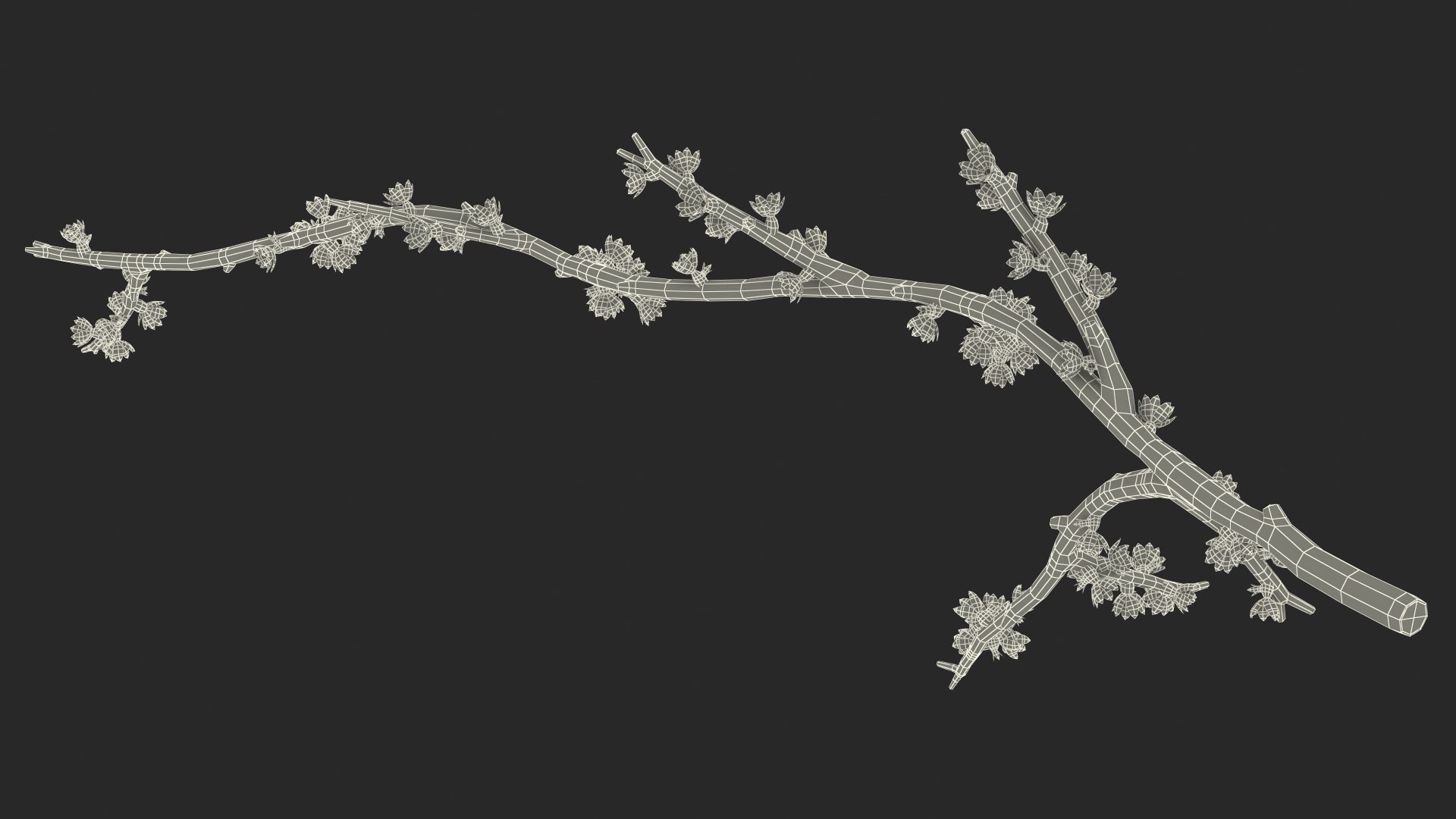Branches Collection 3 model https://p.turbosquid.com/ts-thumb/jV/2Ckwz5/75/branchescollection33dmodel057/jpg/1666601639/1920x1080/fit_q87/8784685a11e0ad58f153a7118cec780c6d4bce37/branchescollection33dmodel057.jpg