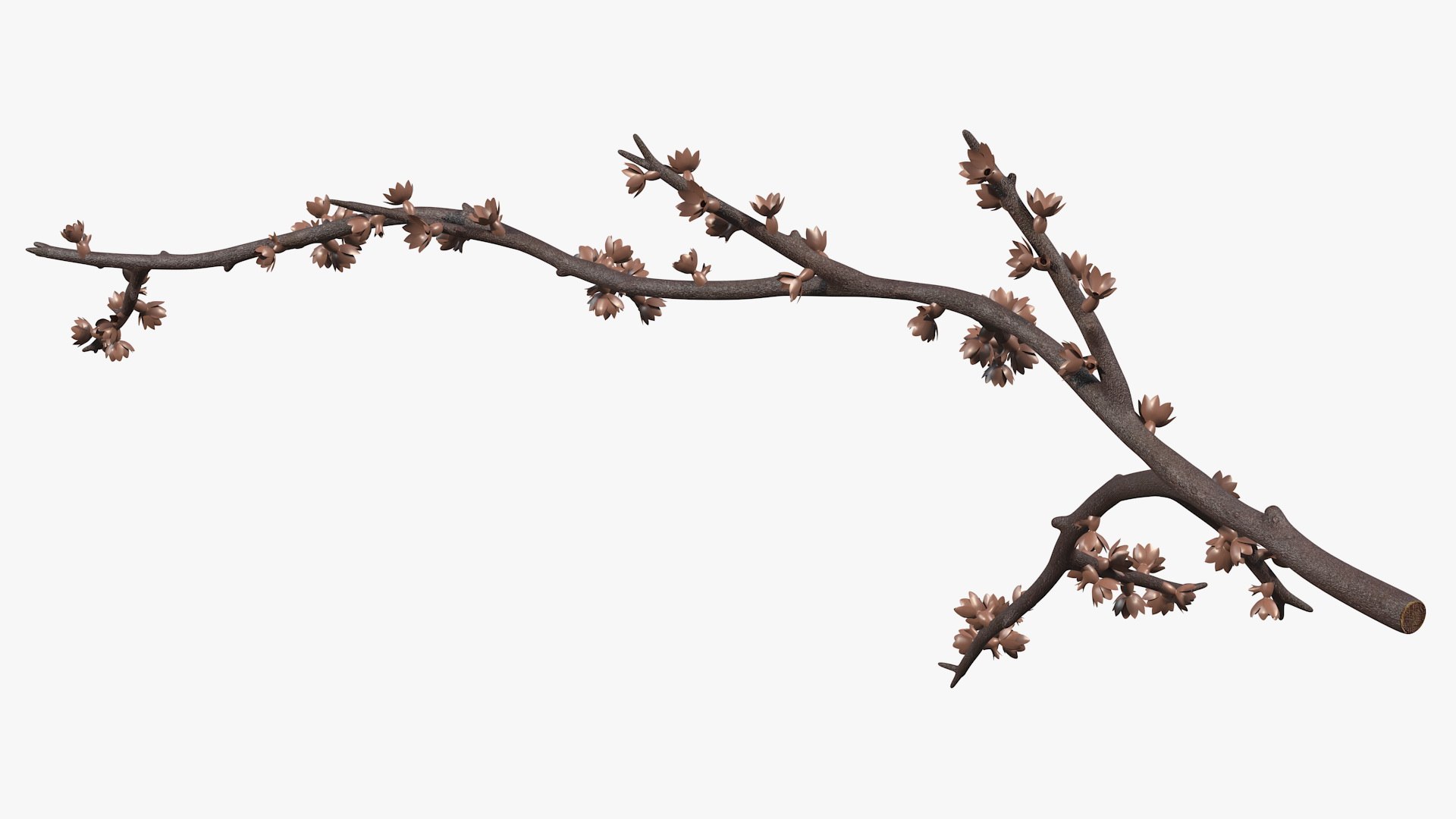 Branches Collection 3 model https://p.turbosquid.com/ts-thumb/jV/2Ckwz5/EP/branchescollection33dmodel031/jpg/1666601540/1920x1080/fit_q87/a1e8b5e9af505fe1e51a5774d1175556cfb90dcc/branchescollection33dmodel031.jpg